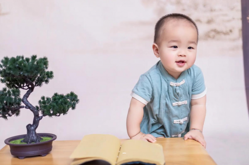 普洱可爱的企鹅宝宝